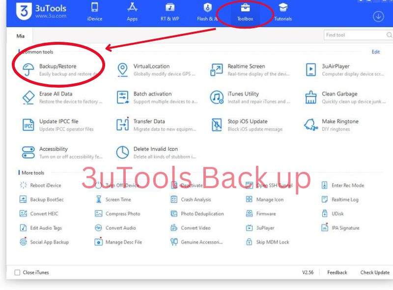 3uTools Backups